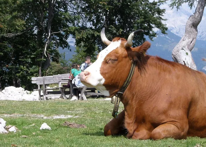 Apartment Esche By Interhome